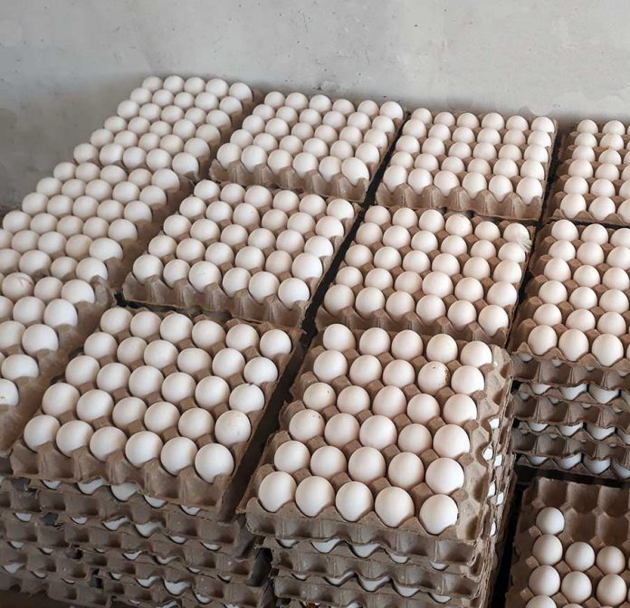 oeufs